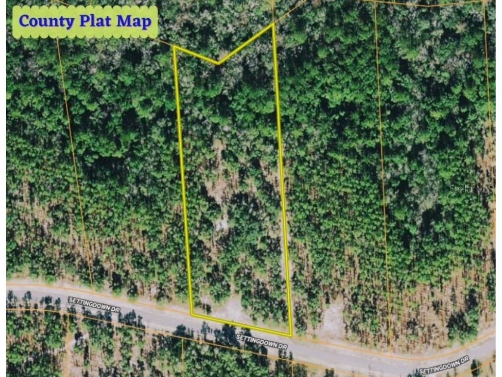 LOT 17 Deep Creek Drive Bryceville FL 32009 OM644433 image1