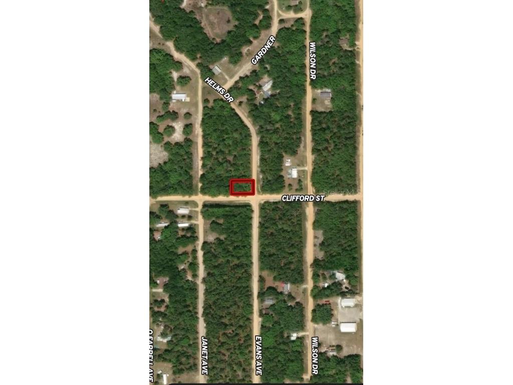 LOT 17 Evans Avenue Interlachen FL 32148 OM710604 image1