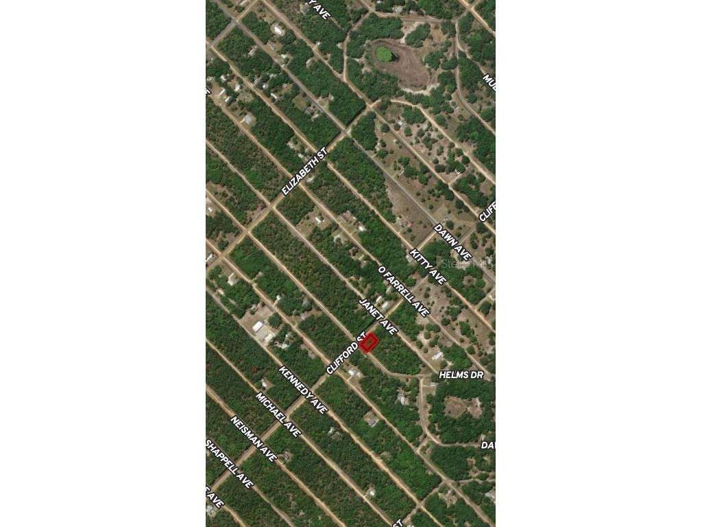 LOT 17 Evans Avenue Interlachen FL 32148 OM710604 image4