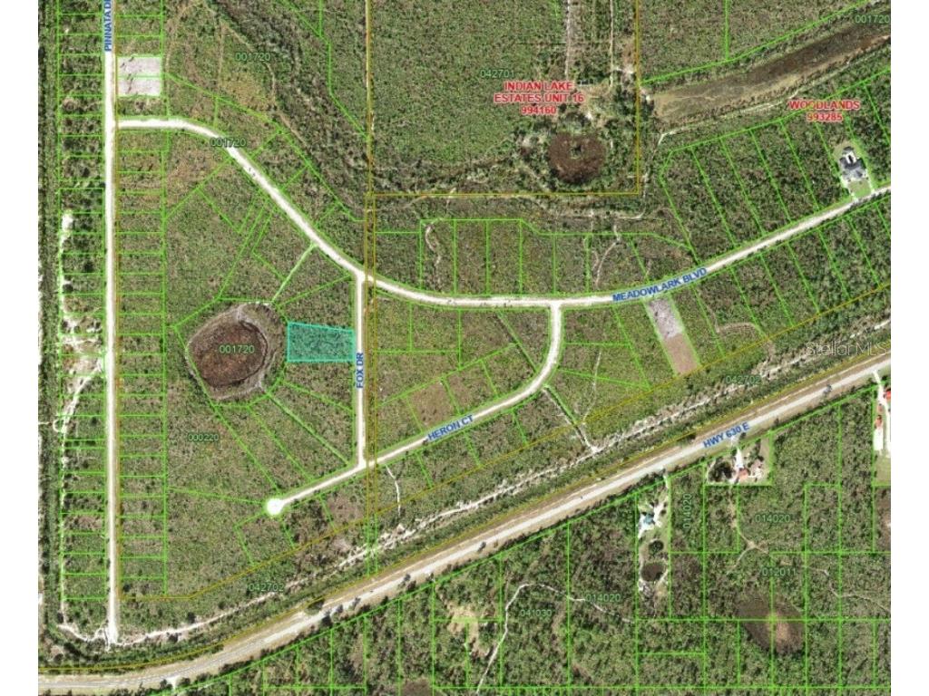 LOT 17 Fox Drive Indian Lake Estates FL 33855 OM709924 image1