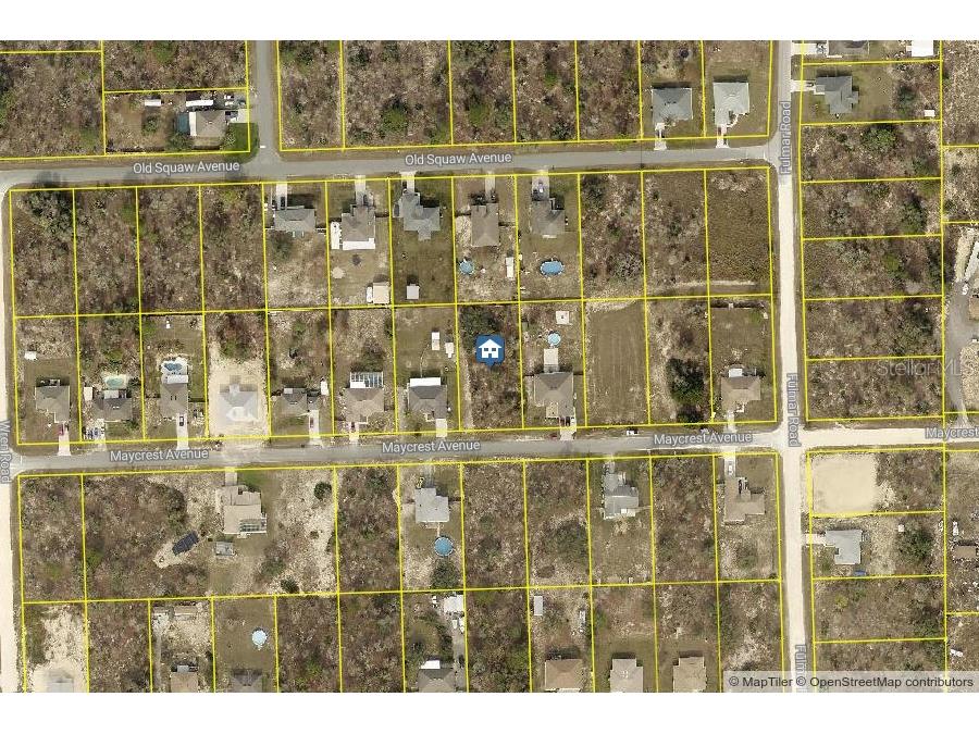 LOT 17 Maycrest Avenue Weeki Wachee FL 34614 W7885749 image1