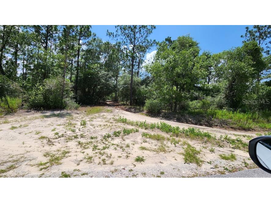 LOT 17 SW Carnation Court Dunnellon FL 34431 OM672259 image1