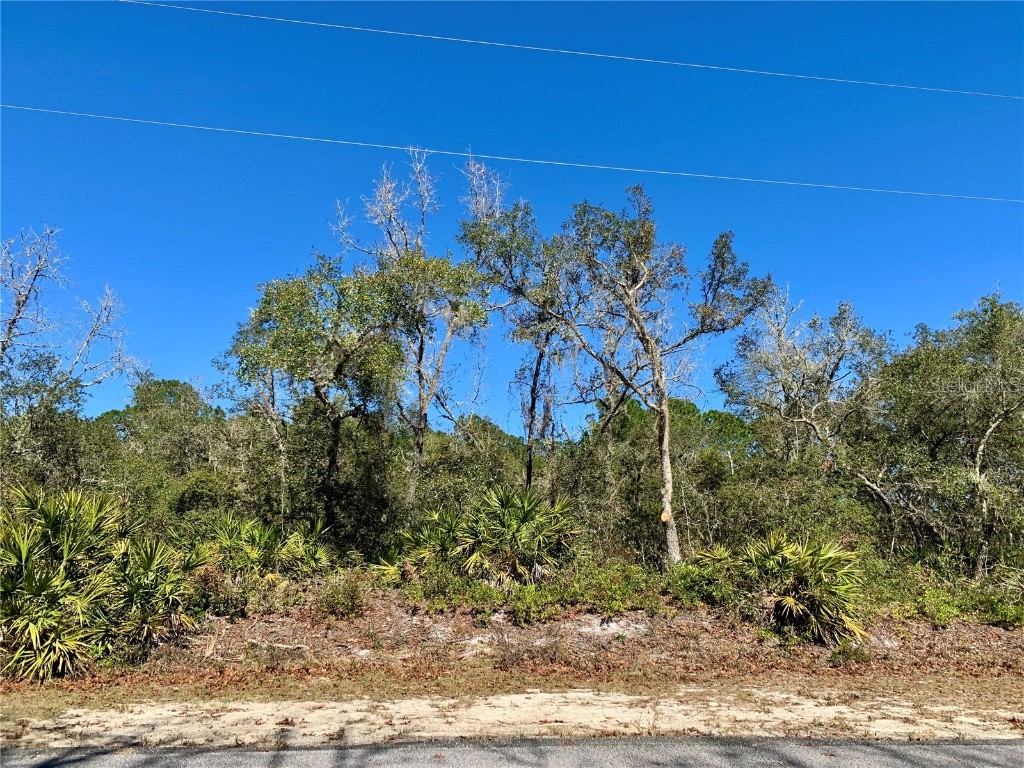 LOT 17 Vitex Avenue Eustis FL 32736 - LAKE NORRIS G5078462 image1