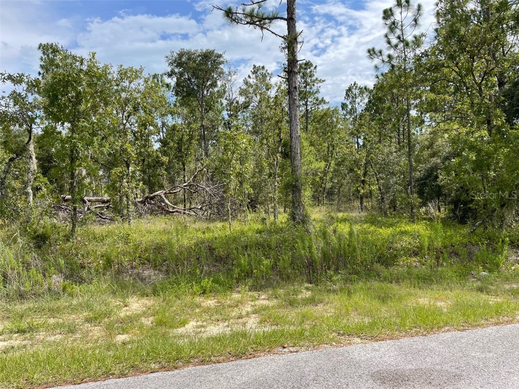 LOT 18 NW Geranium Avenue Dunnellon FL 34431 OM705840 image1