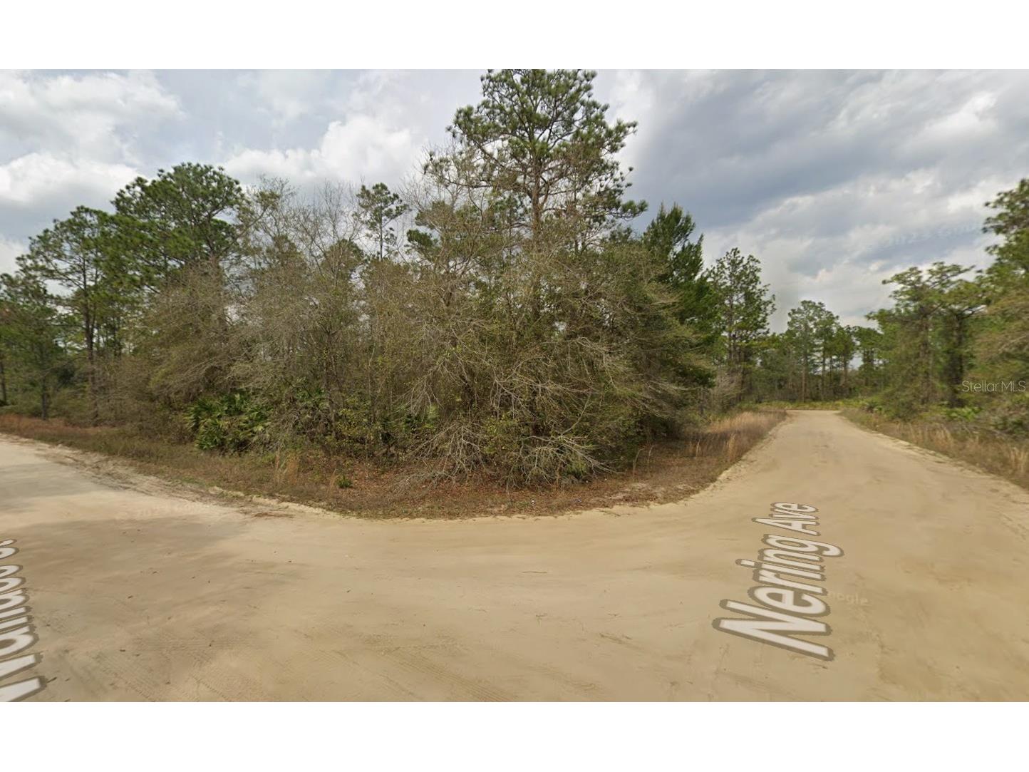 LOT 18 Wallace Street Interlachen FL 32148 K4903417 image1
