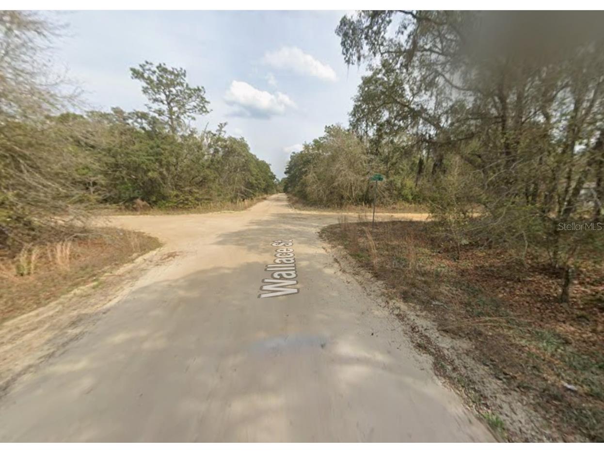 LOT 18 Wallace Street Interlachen FL 32148 K4903417 image2