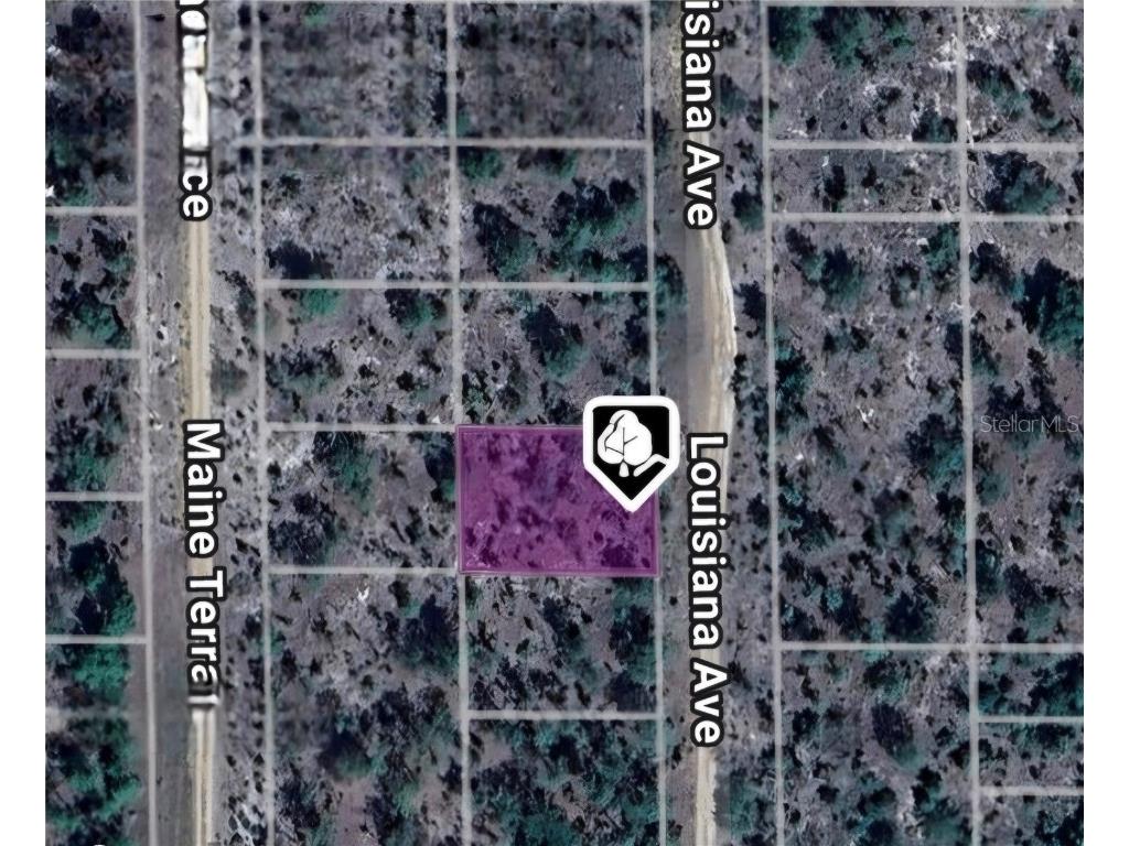 LOT 19 AND 20 Louisiana Avenue Hawthorne FL 32640 OM711477 image1
