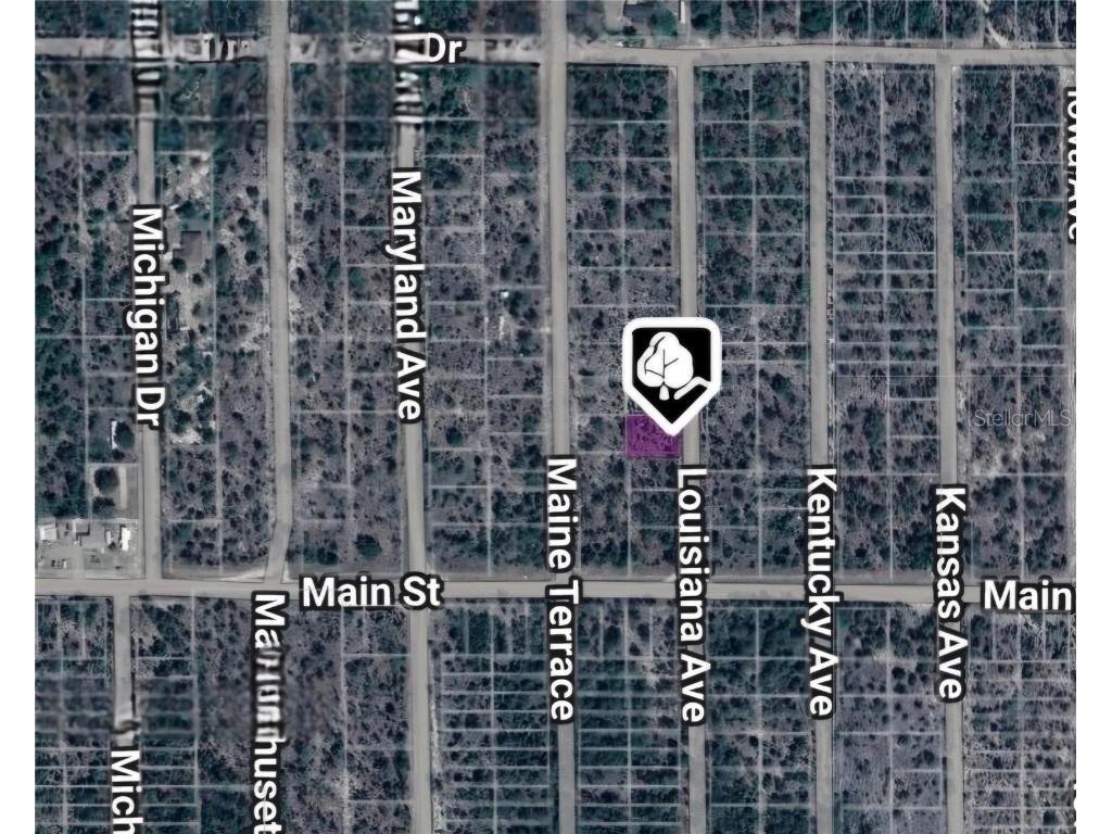 LOT 19 AND 20 Louisiana Avenue Hawthorne FL 32640 OM711477 image2