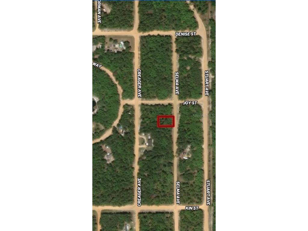 LOT 19 Selma Avenue Interlachen FL 32148 OM710464 image1