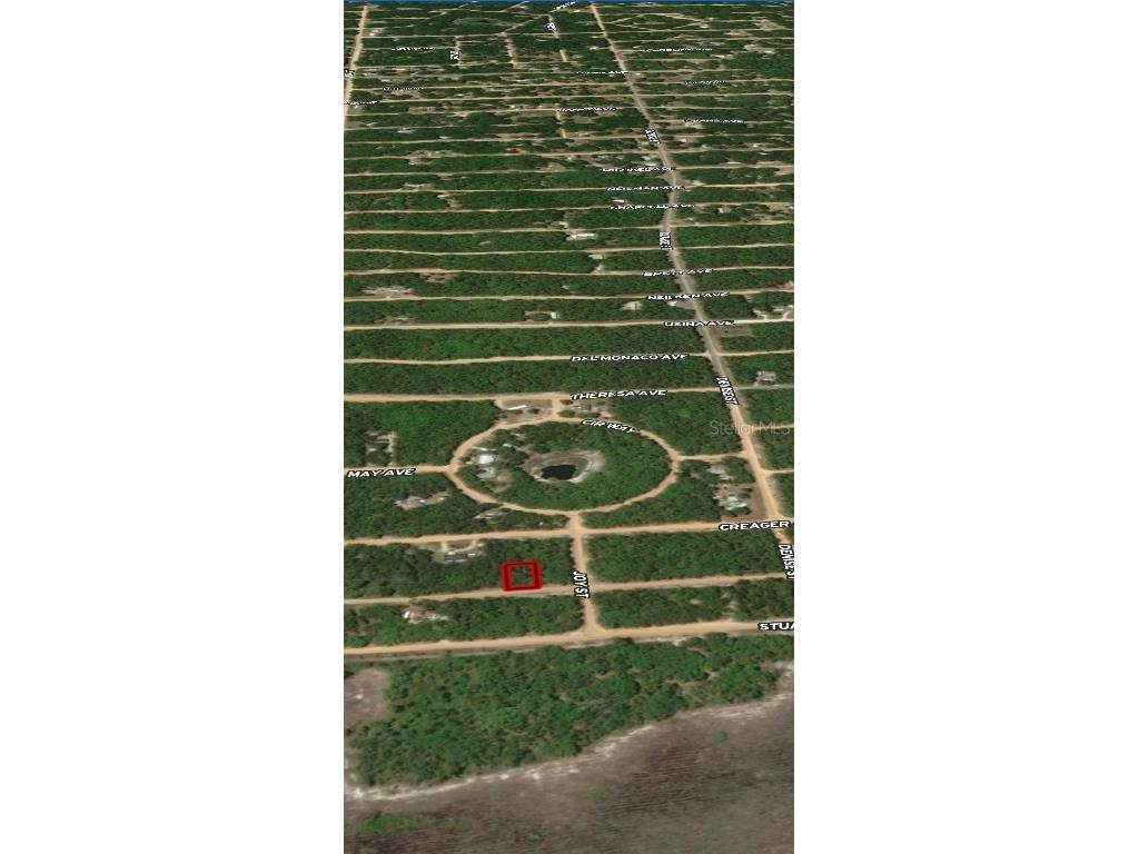 LOT 19 Selma Avenue Interlachen FL 32148 OM710464 image2