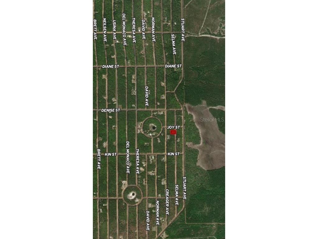 LOT 19 Selma Avenue Interlachen FL 32148 OM710464 image4