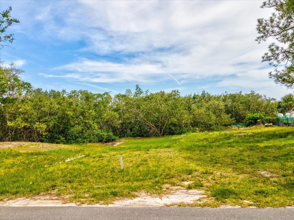 LOT 2 & 4 Sea Breeze Drive Tarpon Springs FL 34689 TB8378334 image12