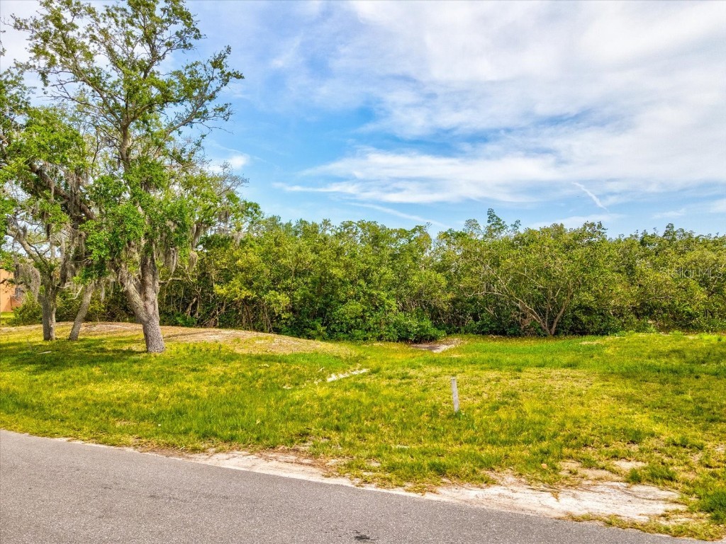 LOT 2 & 4 Sea Breeze Drive Tarpon Springs FL 34689 TB8378334 image13