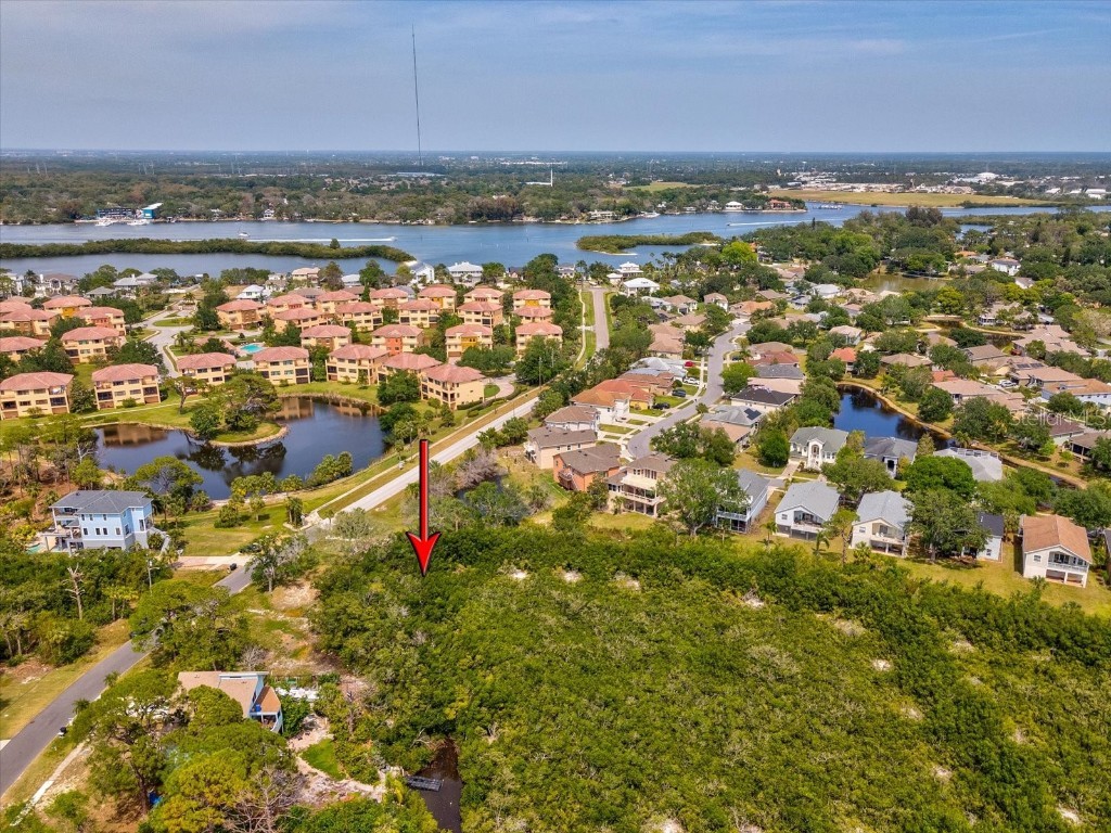LOT 2 & 4 Sea Breeze Drive Tarpon Springs FL 34689 TB8378334 image8