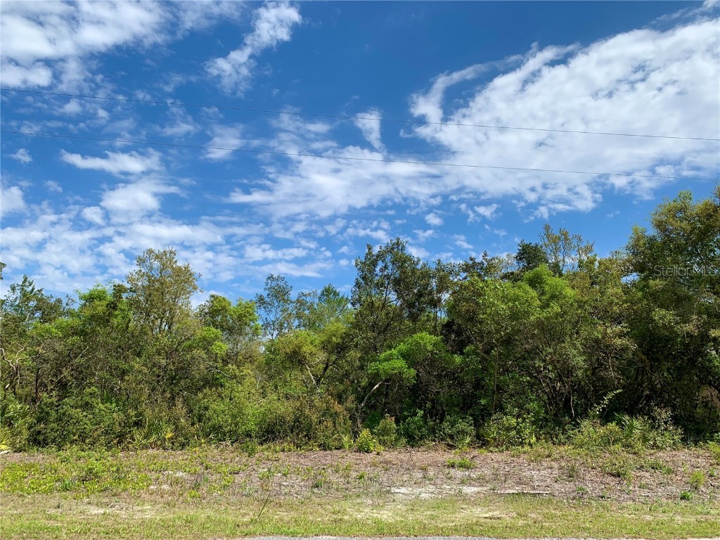 LOT 2 Apple Street Eustis FL 32736 - LAKE NORRIS G5080221 image1