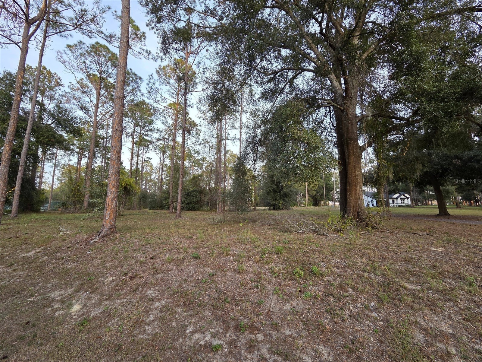 LOT 2 Clearwater Way Groveland FL 34736 O6377610 image2