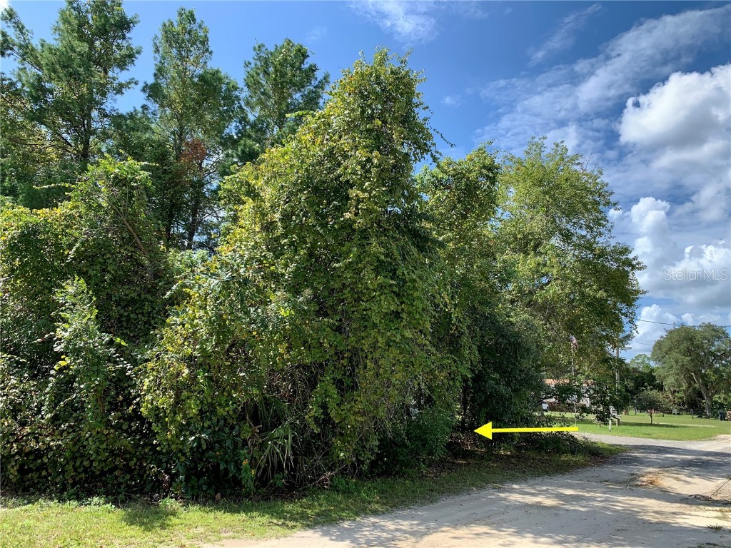 LOT 2 Holly Avenue Paisley FL 32767 G5074158 image1
