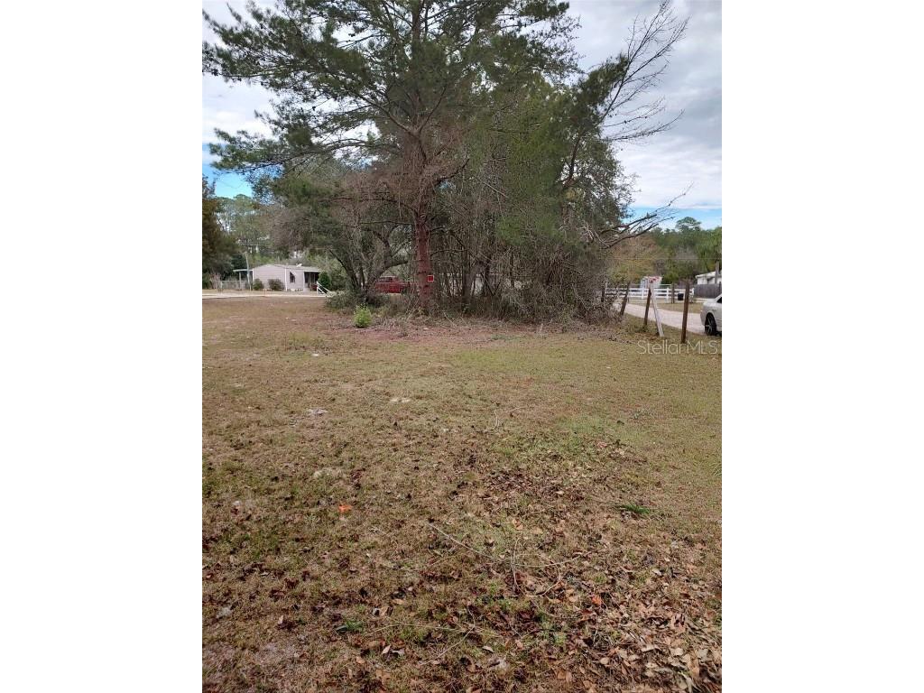 LOT 2 Holly Avenue Paisley FL 32767 O6178700 image1