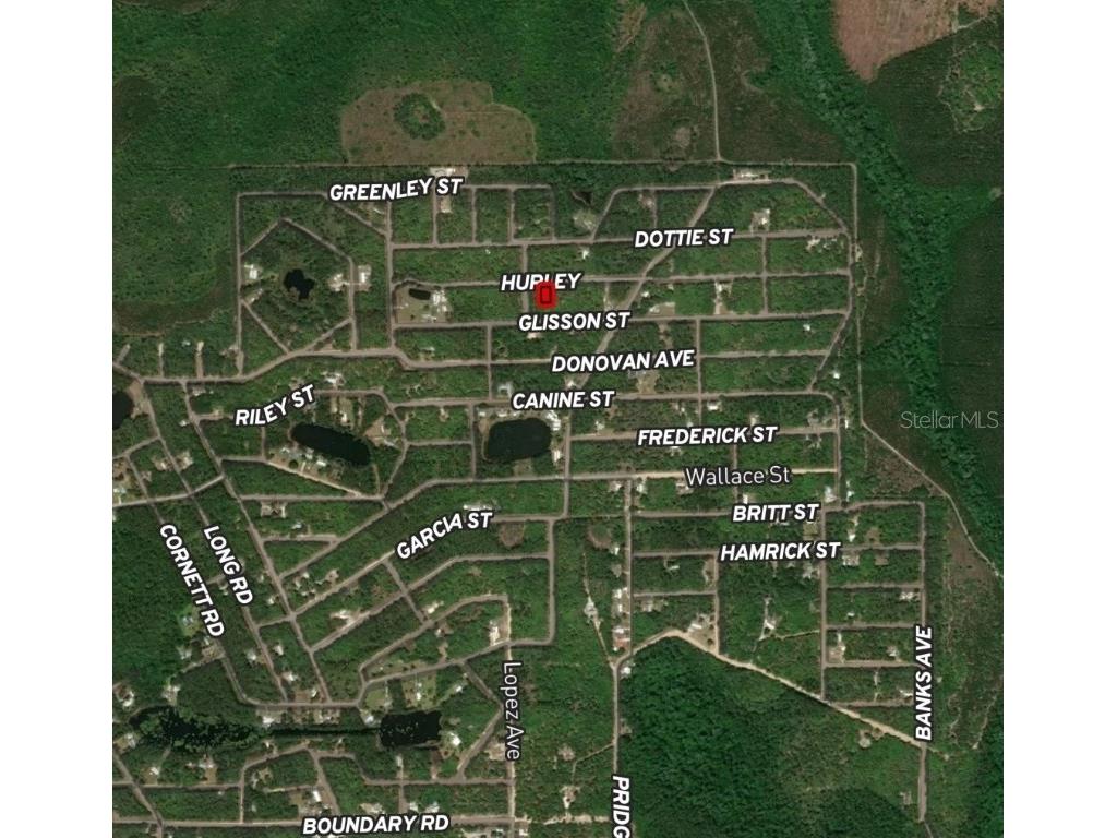 LOT 2 Hurley Street Interlachen FL 32148 OM710294 image2