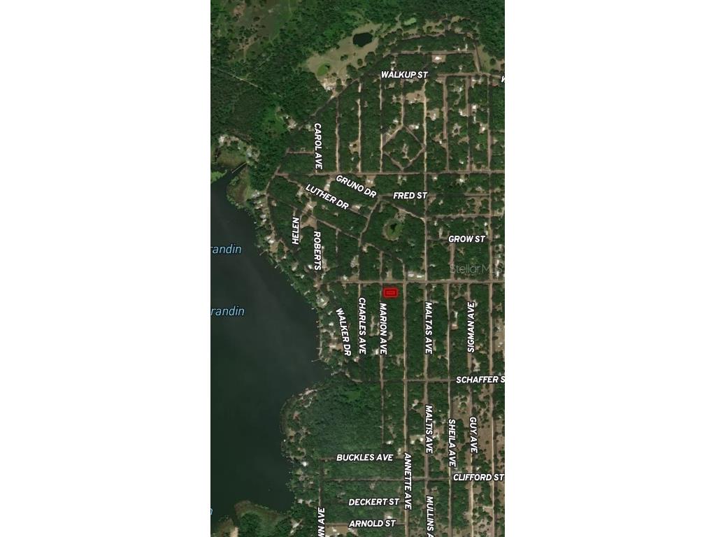 LOT 2 Marion Avenue Interlachen FL 32148 OM710578 image1