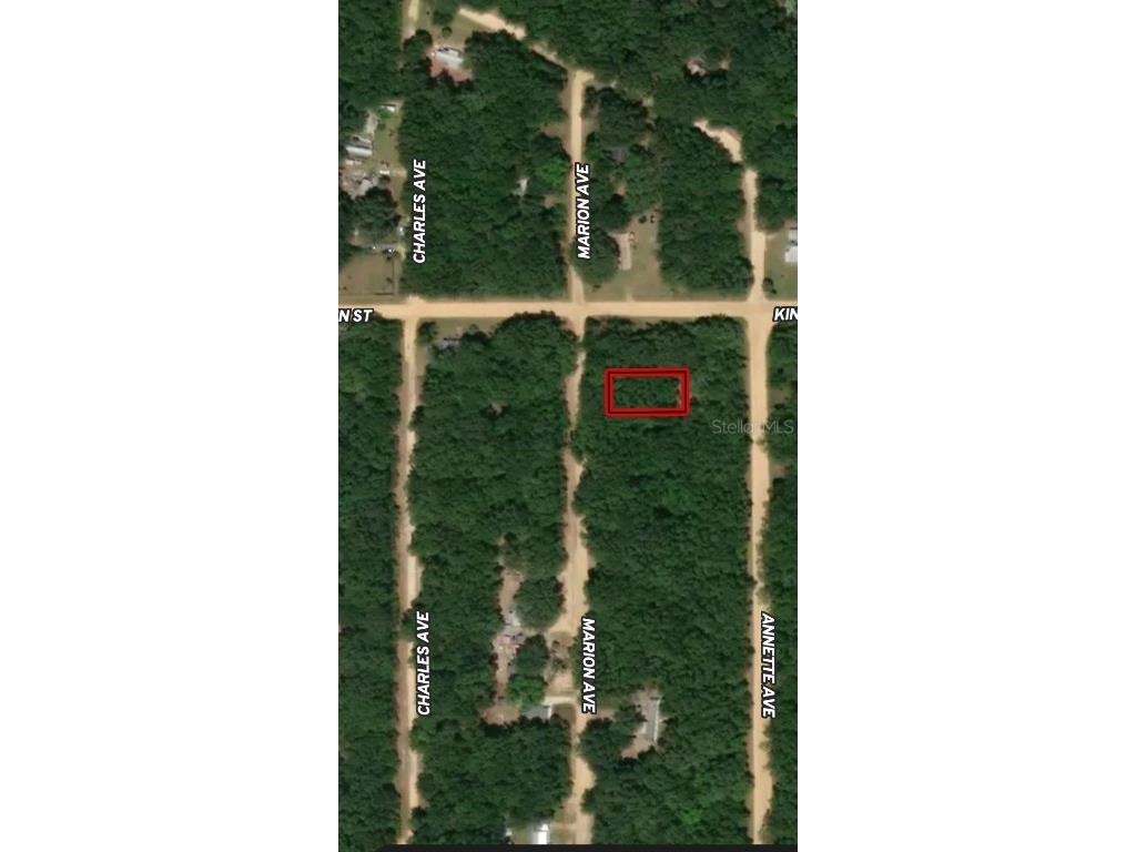 LOT 2 Marion Avenue Interlachen FL 32148 OM710578 image2