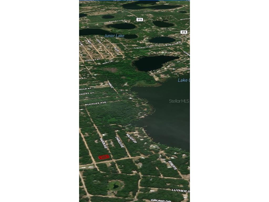 LOT 2 Marion Avenue Interlachen FL 32148 OM710578 image4