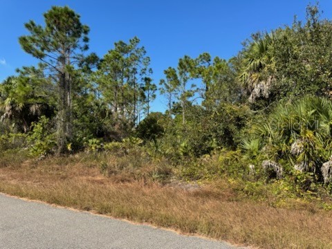 LOT 2 Mattox Circle North Port FL 34288 C7517973 image2