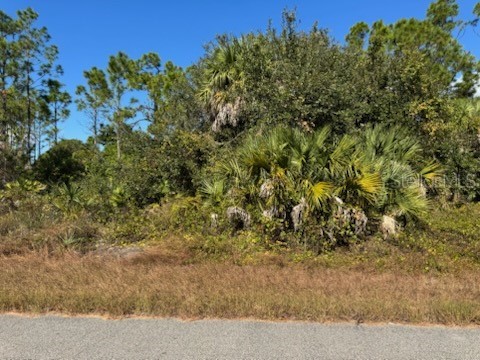 LOT 2 Mattox Circle North Port FL 34288 C7517973 image3