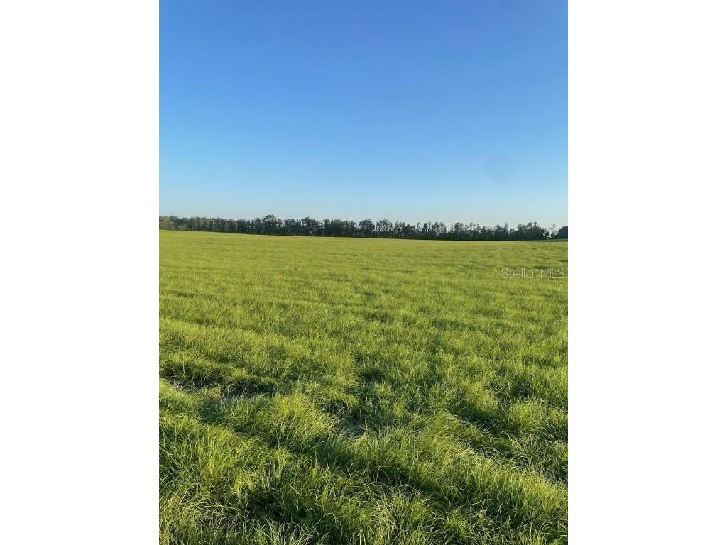 LOT 2 NW 72 Place Bell FL 32619 GC526289 image1