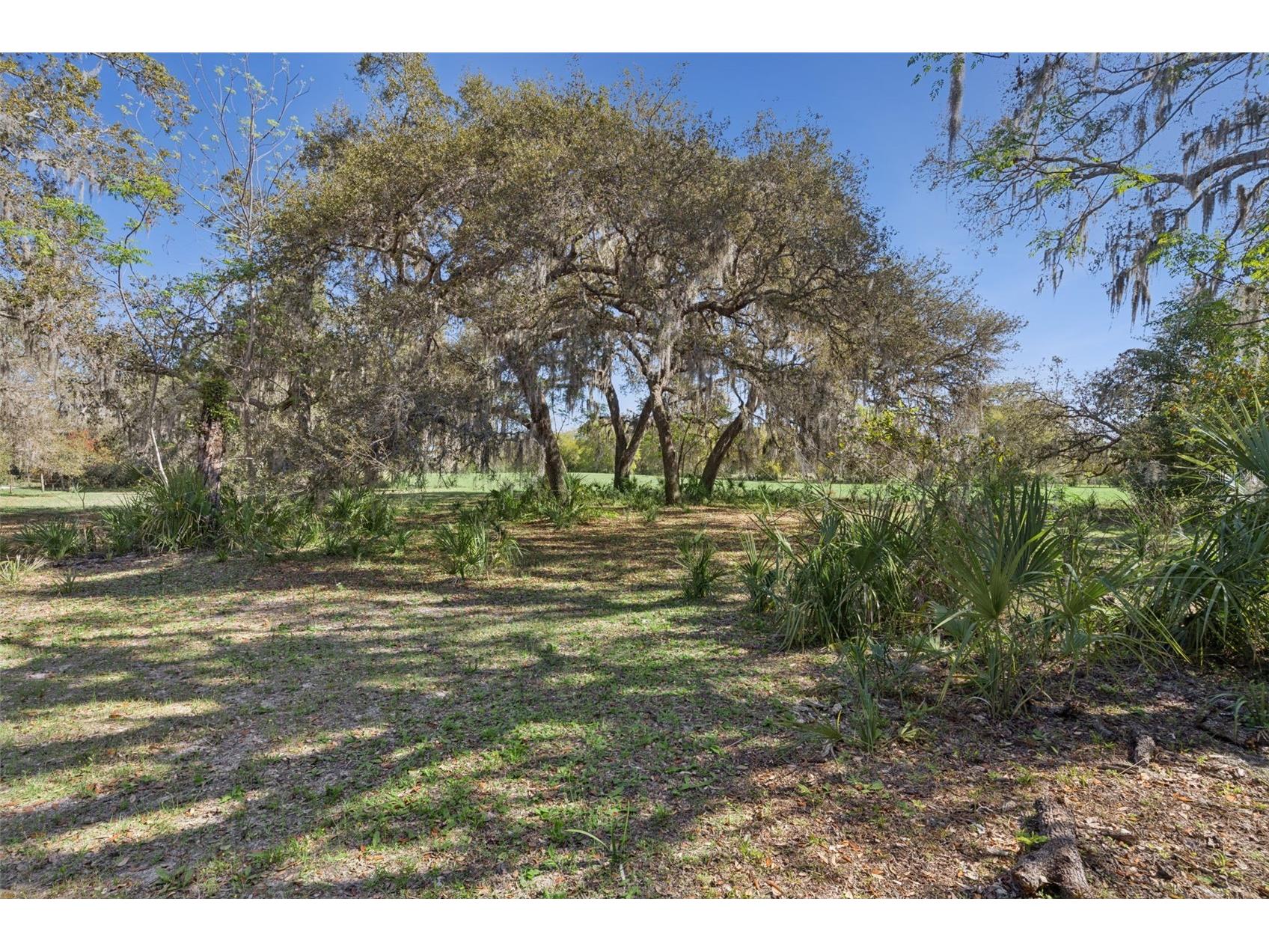 LOT 2 Oak Hollow Oviedo FL 32765 O6390174 image8