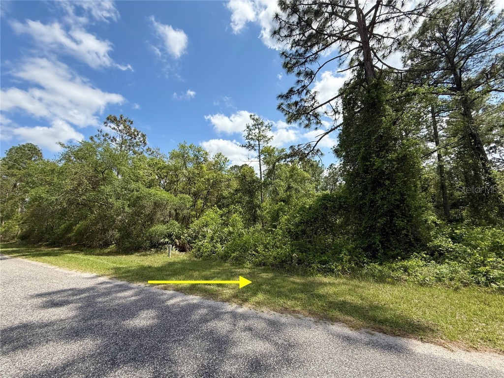 LOT 2 Quince Avenue Eustis FL 32736 G5095498 image1