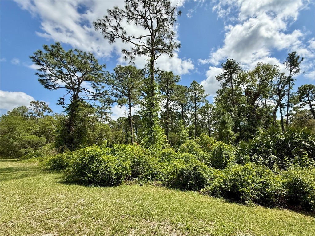 LOT 2 Quince Avenue Eustis FL 32736 G5095498 image11