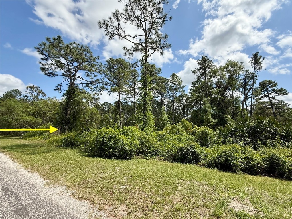 LOT 2 Quince Avenue Eustis FL 32736 G5095498 image12