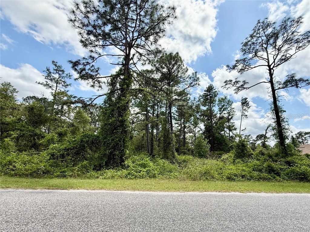 LOT 2 Quince Avenue Eustis FL 32736 G5095498 image13