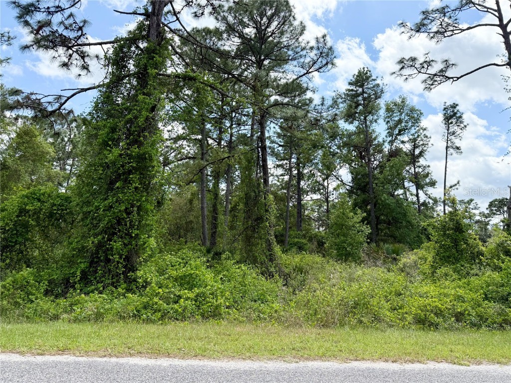 LOT 2 Quince Avenue Eustis FL 32736 G5095498 image14