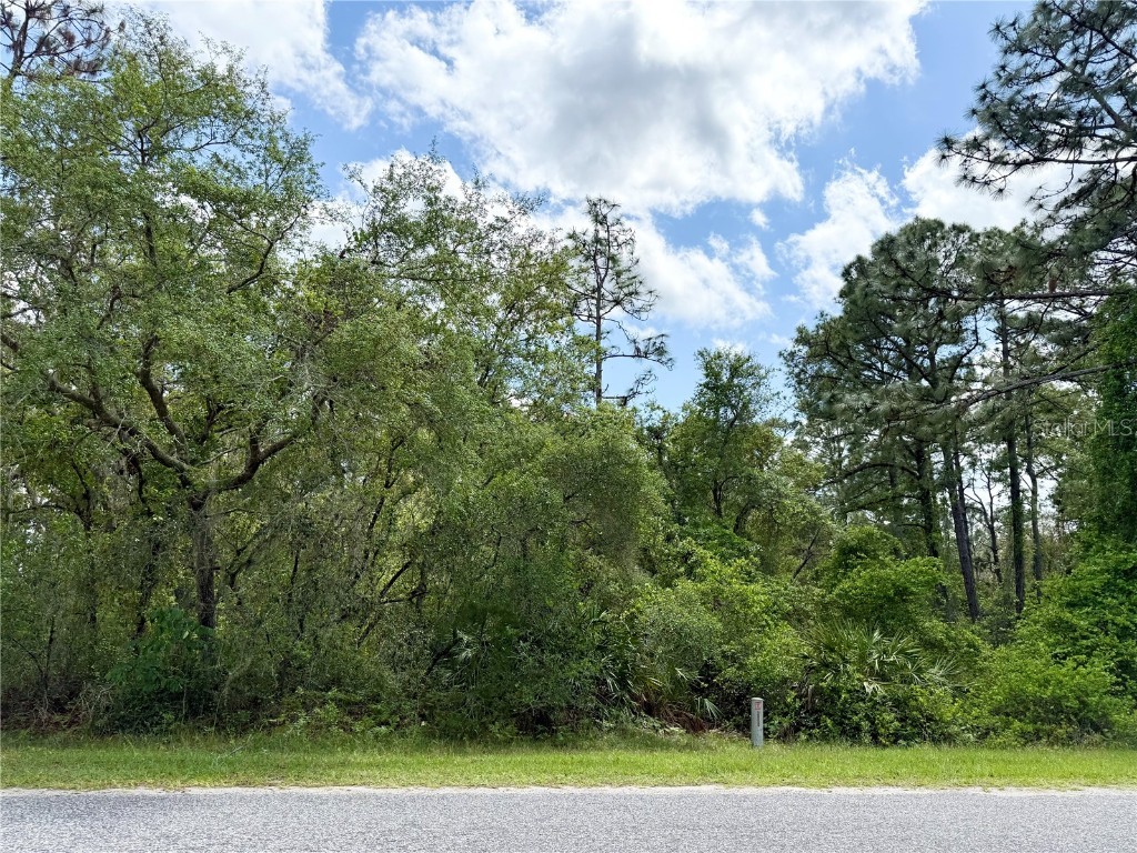 LOT 2 Quince Avenue Eustis FL 32736 G5095498 image2