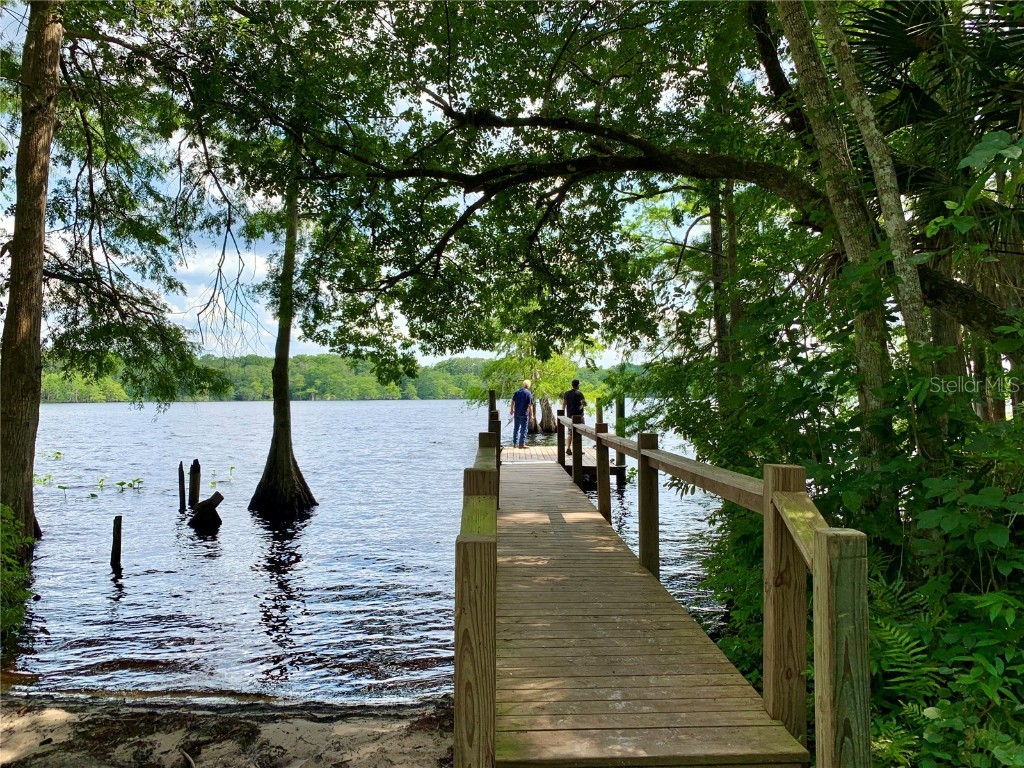 LOT 2 Quince Avenue Eustis FL 32736 G5095498 image21