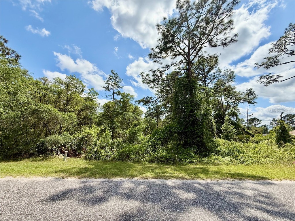 LOT 2 Quince Avenue Eustis FL 32736 G5095498 image4