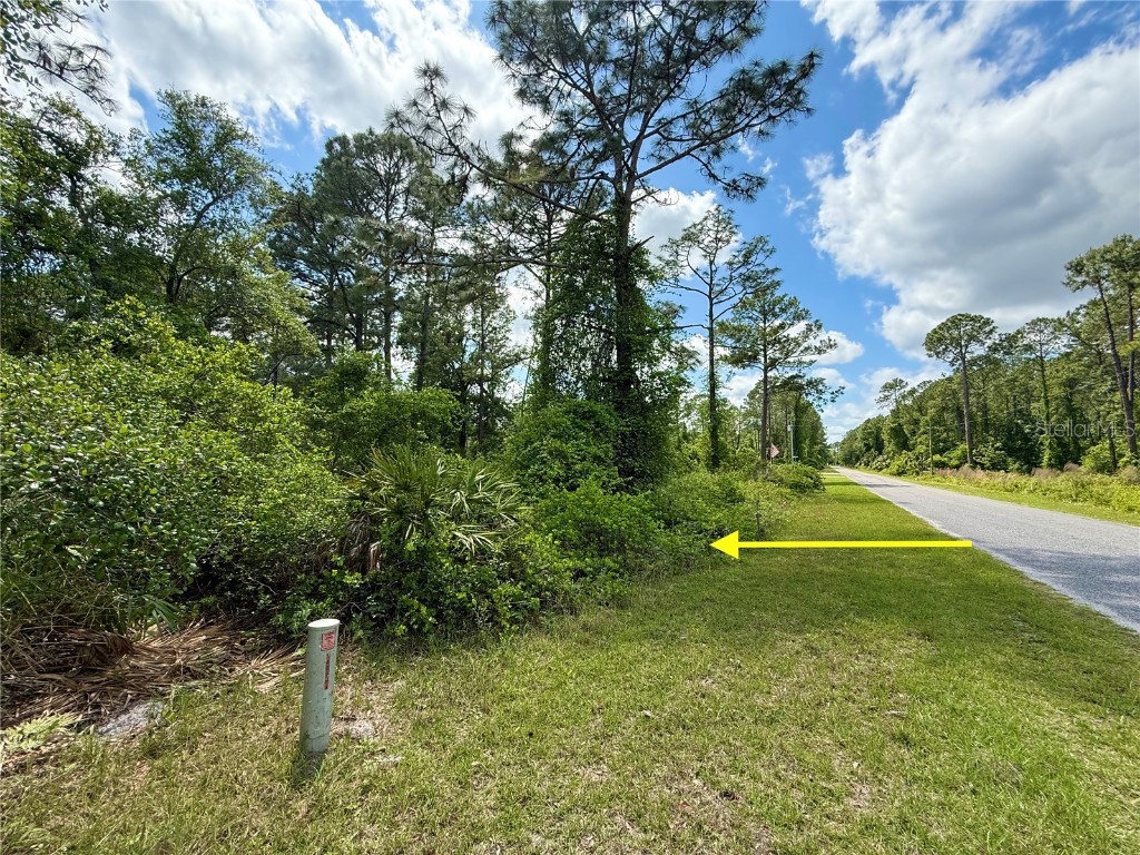 LOT 2 Quince Avenue Eustis FL 32736 G5095498 image5