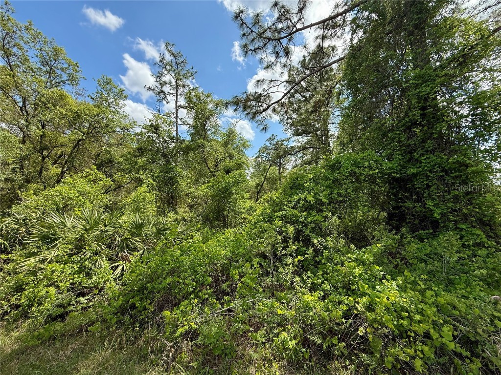 LOT 2 Quince Avenue Eustis FL 32736 G5095498 image7