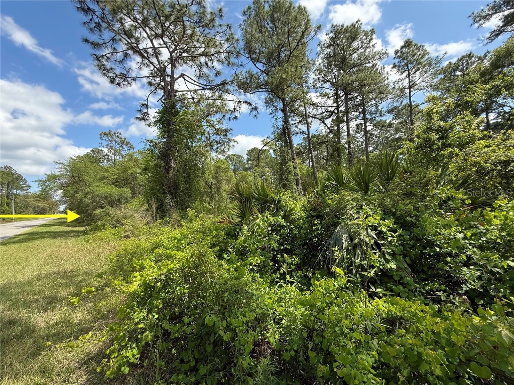 LOT 2 Quince Avenue Eustis FL 32736 G5095498 image8