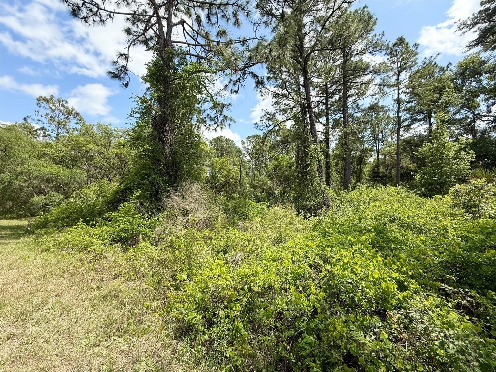 LOT 2 Quince Avenue Eustis FL 32736 G5095498 image9