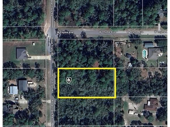 LOT 2 Royal Trail Rd Eustis FL 32736 - LAKE NORRIS O6348018 image1