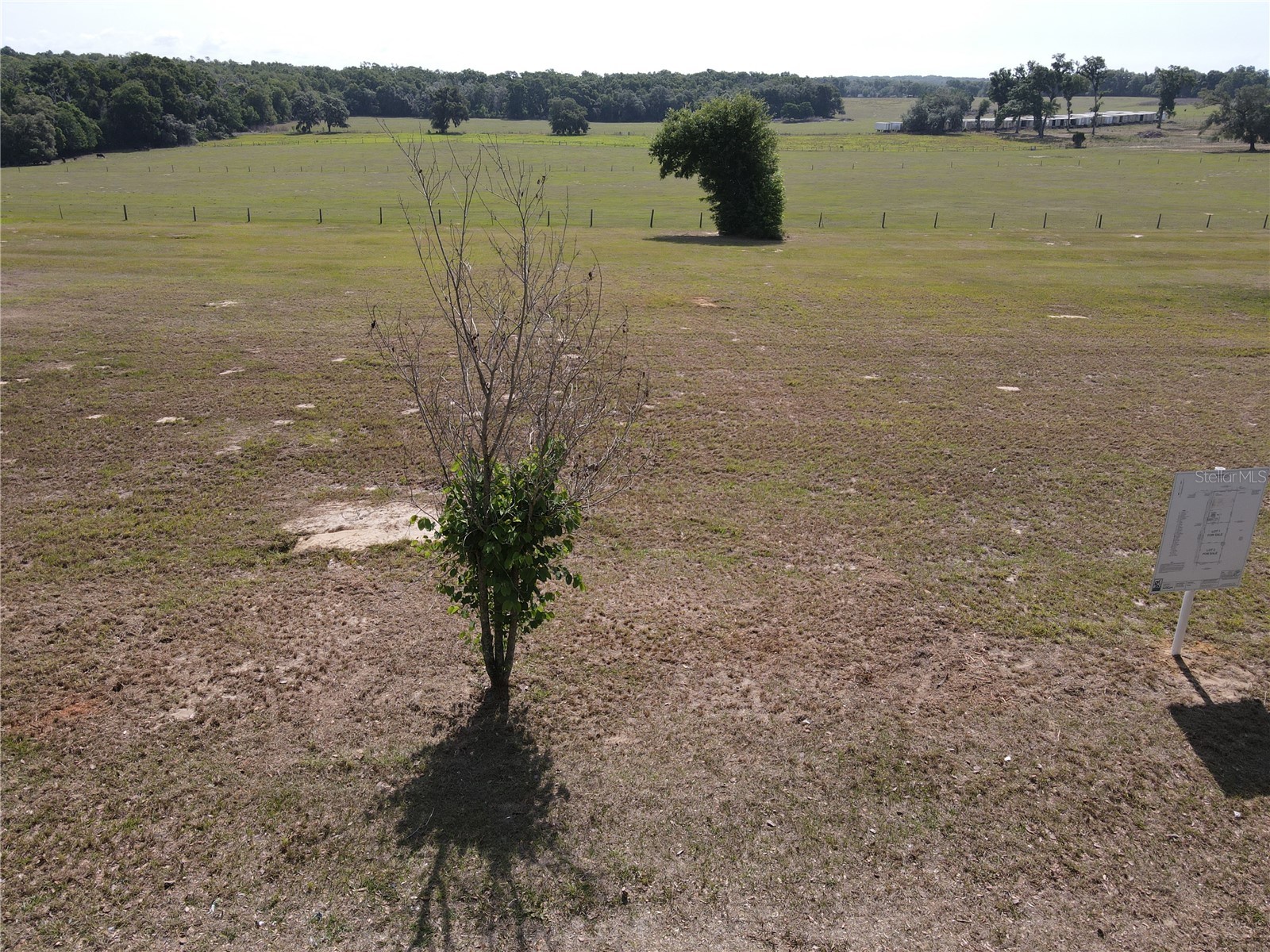LOT 2 Smith Road Dade City FL 33525 TB8503592 image22