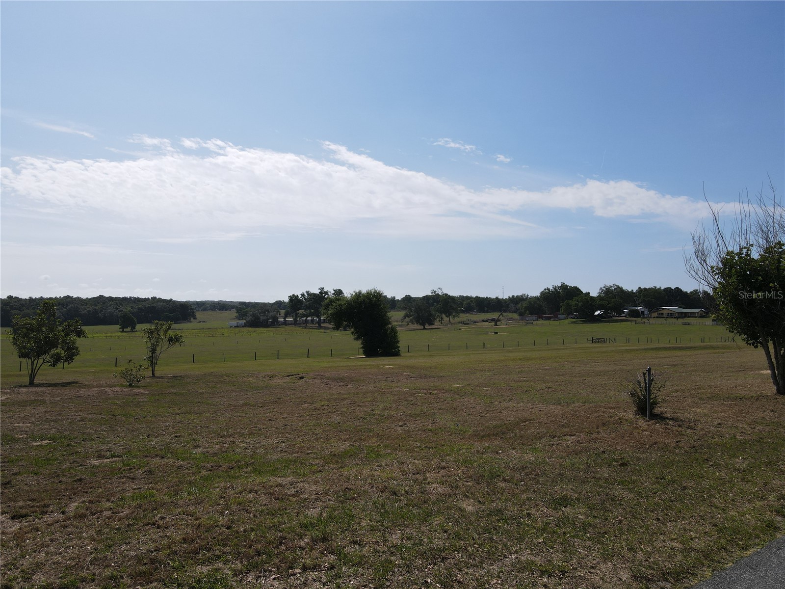 LOT 2 Smith Road Dade City FL 33525 TB8503592 image24