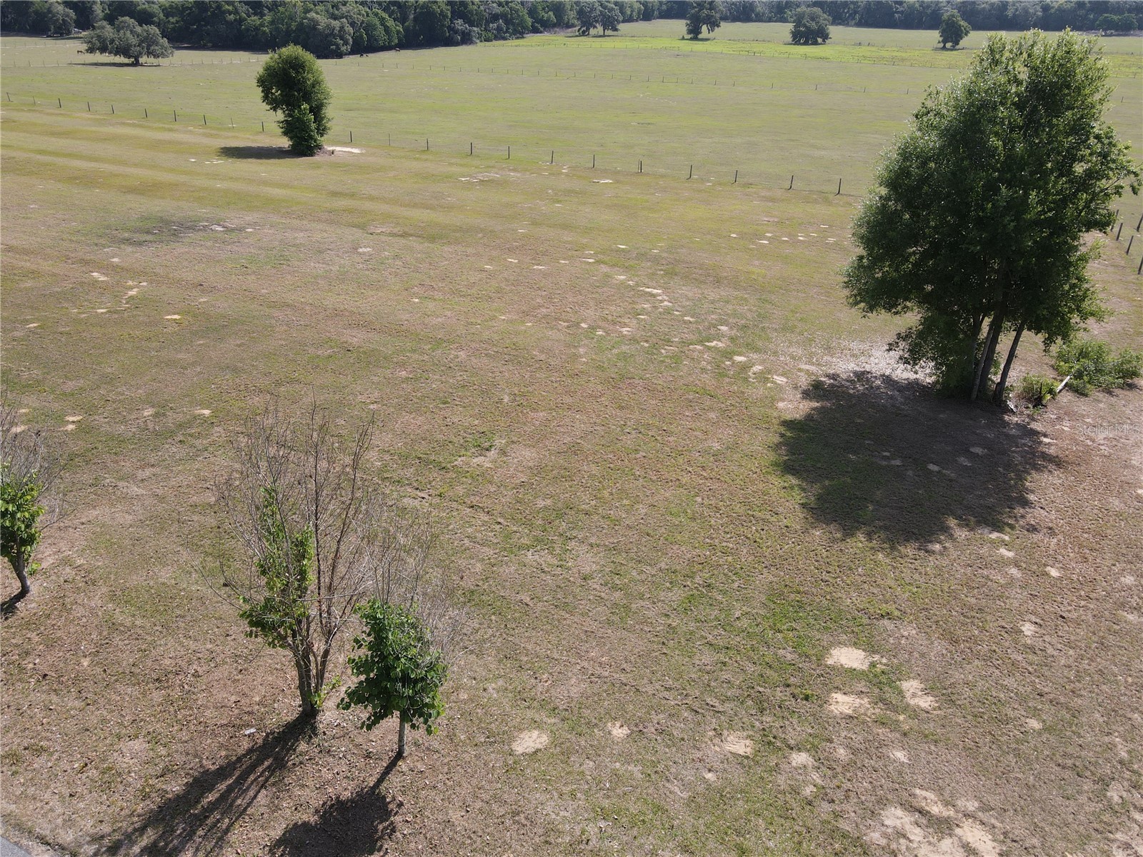 LOT 2 Smith Road Dade City FL 33525 TB8503592 image6