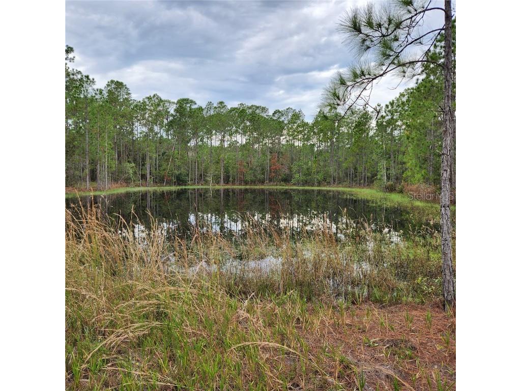 LOT 2 South Shore Drive Lake Wales FL 33898 P4936256 image1