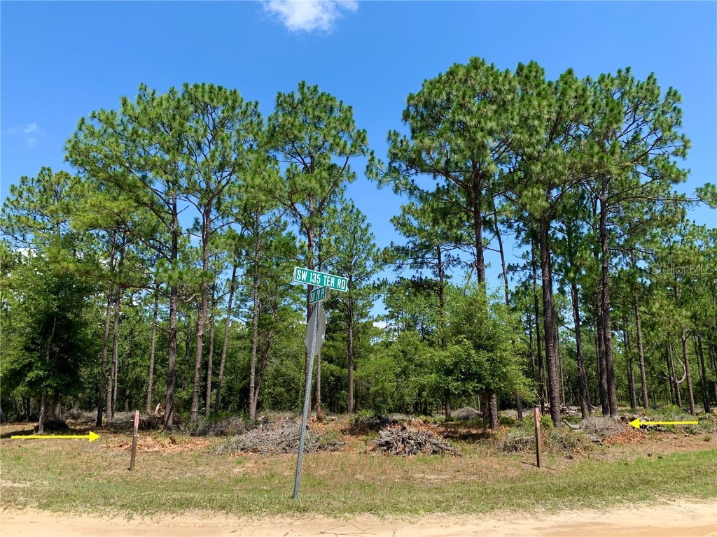 LOT 2 SW 78th Place Dunnellon FL 34432 G5083085 image1
