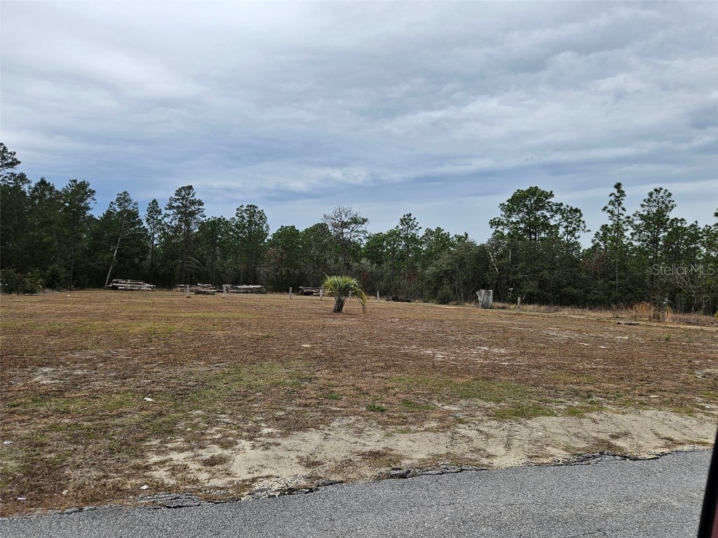 LOT 2 SW Little Cliffs Drive Dunnellon FL 34431 S5119033 image1