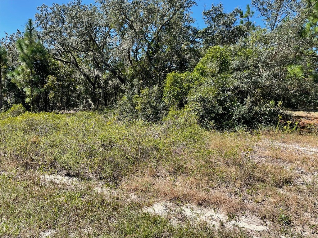 LOT 2 SW Winding Hills Road Dunnellon FL 34431 OM711330 image1